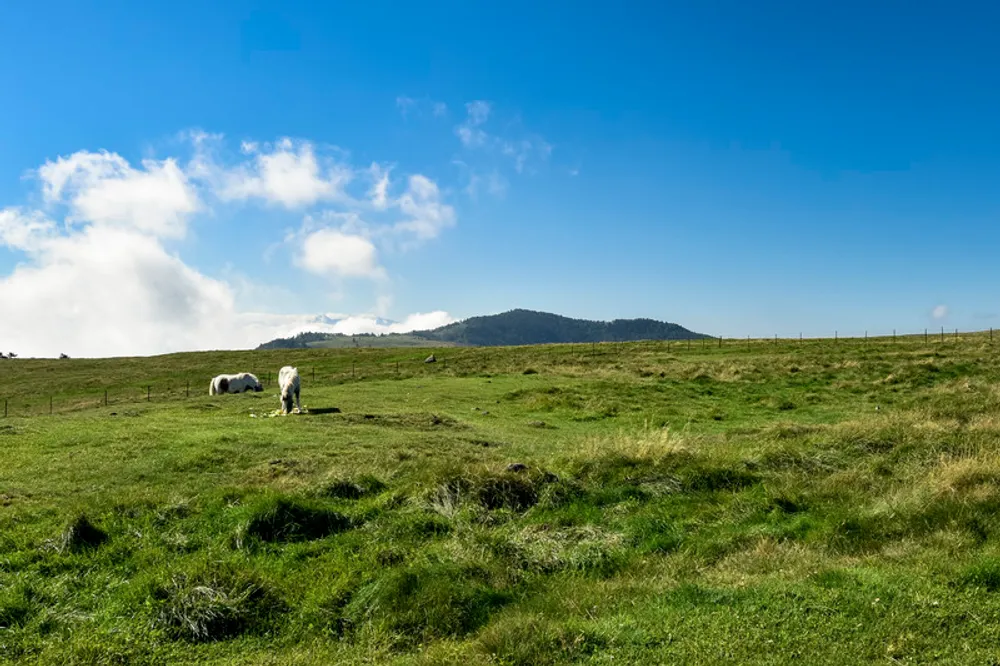 八ヶ岳の1度は泊まりたい高級ホテル11選！ラグジュアリーな露天風呂付き客室のホテルもご紹介！