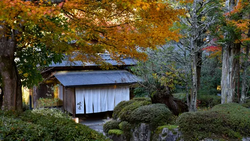 名勝天竜峡温泉　渓谷に佇む隠れ宿　峡泉
