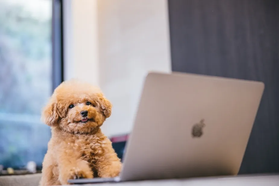 千葉にあるプロジェクター付きのホテル8選！デートや女子会・オタ活にぴったりなお宿をご紹介！